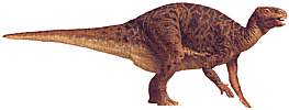 dino34-iguanodon.jpg (4972 octets)