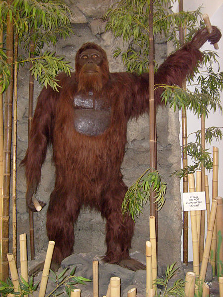 http://pythacli.chez-alice.fr/recent25/Gigantopithecus.jpg